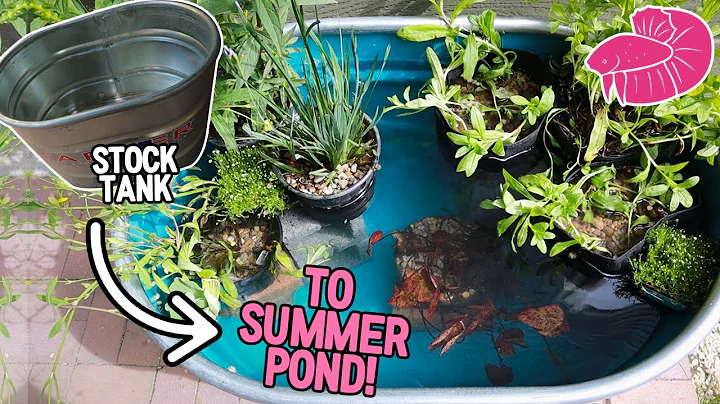 Transform Your Livestock Trough into a Stunning Summer Pond