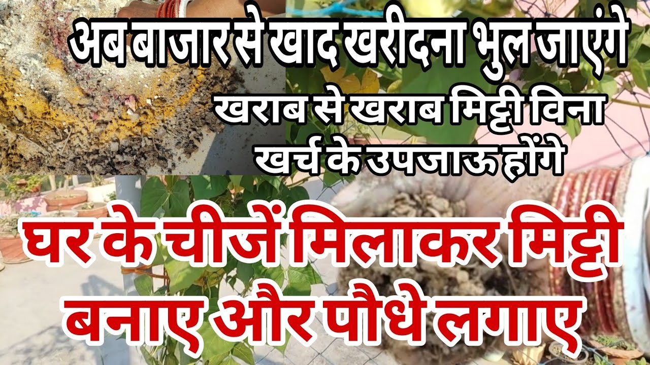 बिल्कुल कम खर्च करके मिट्टी को उपजाऊ बनाए बस कुछ चीजें जो आप सभी के घर में हैं उसे मिलाकर 
