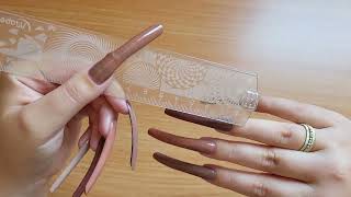 Natural long nails browns