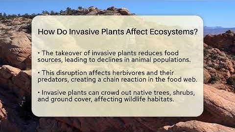 How Do Invasive Plants Affect Ecosystems? - Ecosystem Essentials