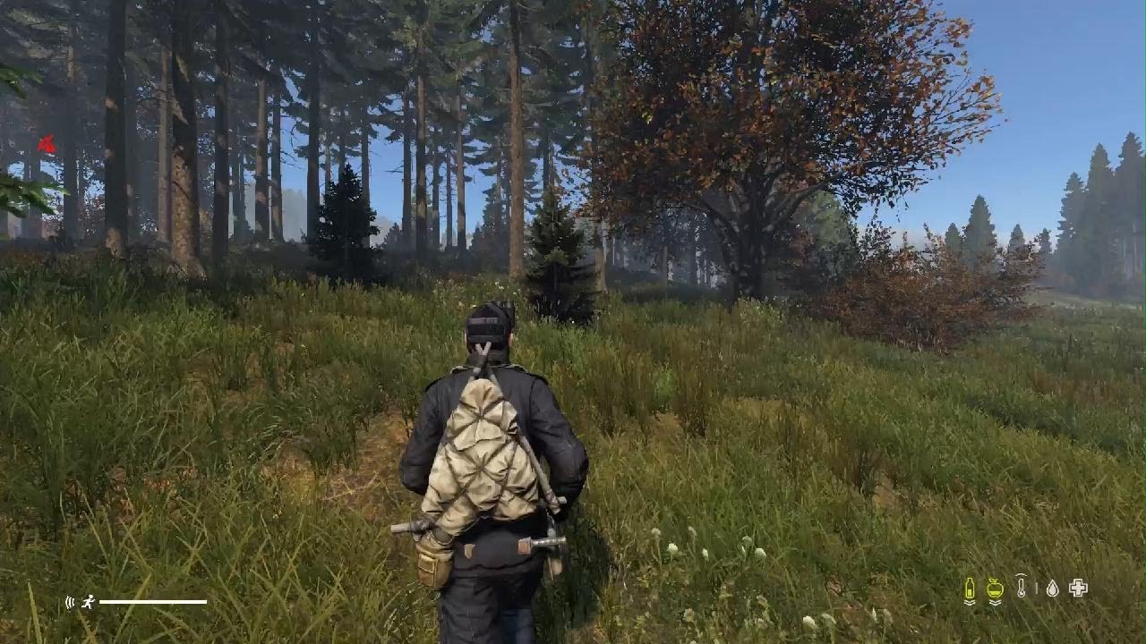 DayZ The Little boy admin power fusion. 5555