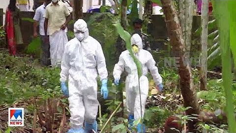 വവ്വാല്‍ കടിച്ച പഴങ്ങളുടെ പരിശോധന ഫലം ഇന്നെത്തും|Nipah Virus