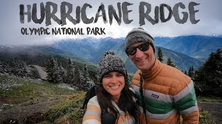 Hiking at Hurricane Ridge in Olympic National Park has breathtaking views & is a must if visiting