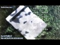 We say hello - Aoi Bungaku's Ending [ Vietsub by WSF ]