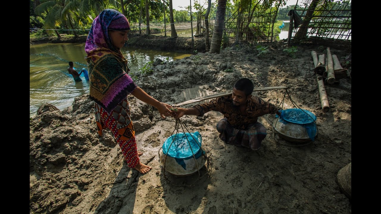 Fishing for Fortune (Trailer) YouTube