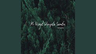 Mi Nogat Wanpela Samtin