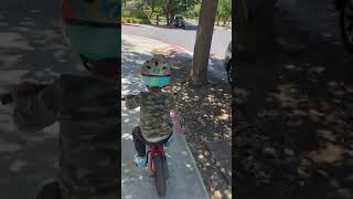 IMG 8963
