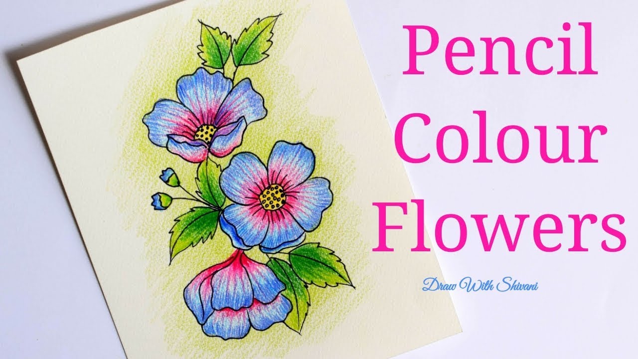 Art Flower Drawing Colour Pencil : 50 beautiful color pencil drawings ...