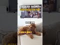 😱75인치 QLED가 이 가격? 삼성 4K UHD QLED 75인치TV