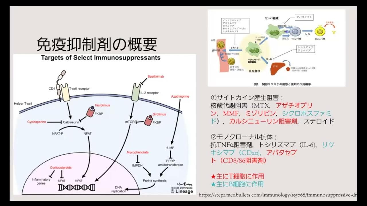 ネフローゼに対するリツキシマブ YouTube