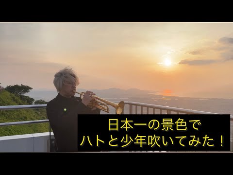 ハトと少年