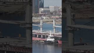 Pure Power! ⚓ Tug WASHINGTON Shepherding a Giant in Norfolk
