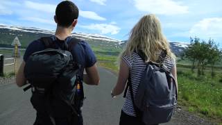 Lichen Hunting in Iceland