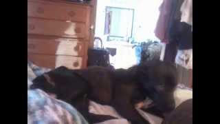 My Slideshow Of Our 2 Use To Be Pits And 2 Still Are