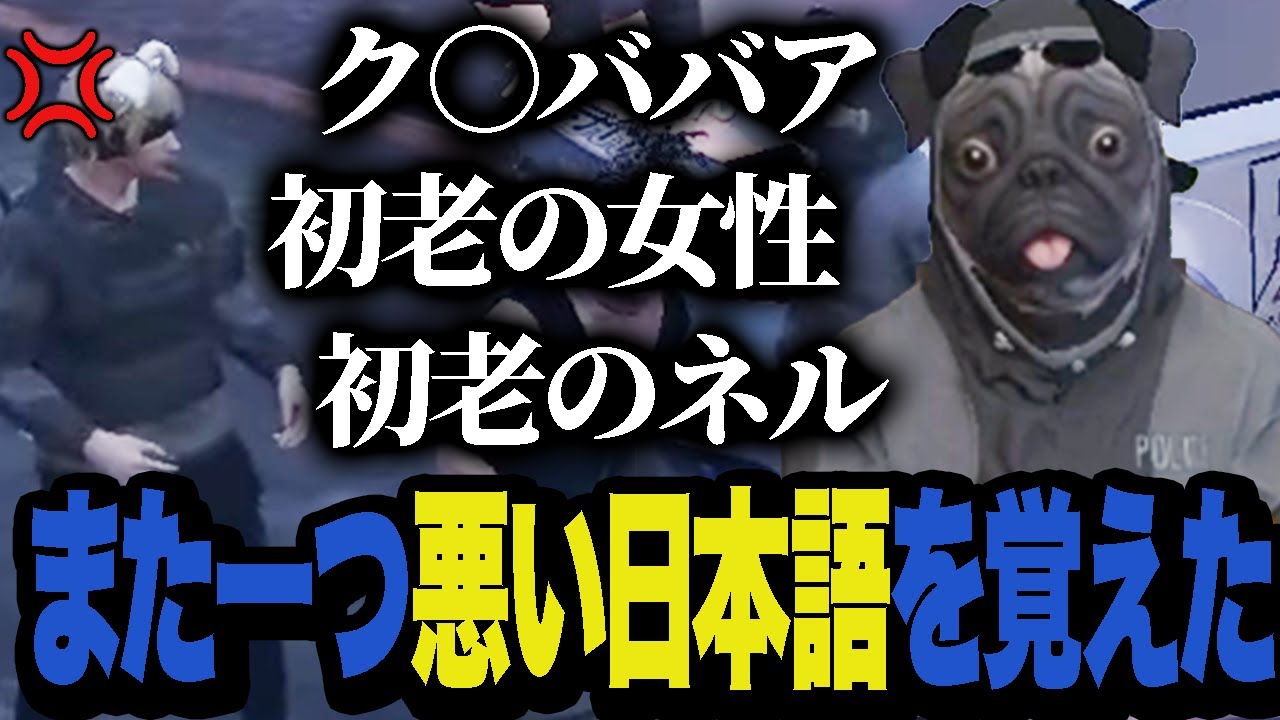また一つ悪い日本語を覚えてしまった【ストグラ/犬ルリ】