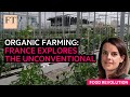 French organic farming explores the unconventional | FT Food Revolution