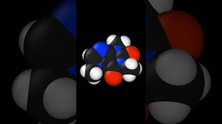 Constant volume simulation of a single caffeine molecule at 25 ˚C. #shorts