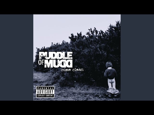 Puddle Of Mudd - Bring Me Down