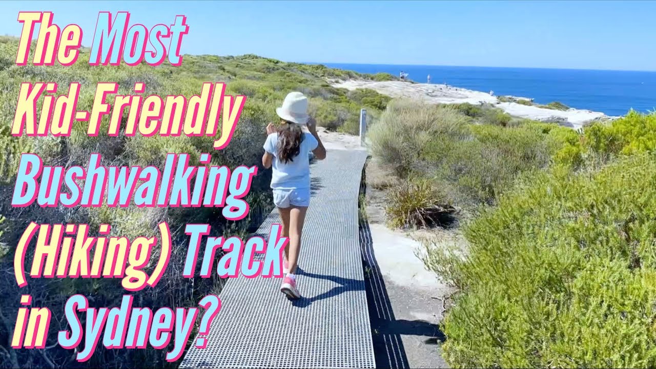 The Most Kid Friendly Bushwalking (Hiking) Track in Sydney?