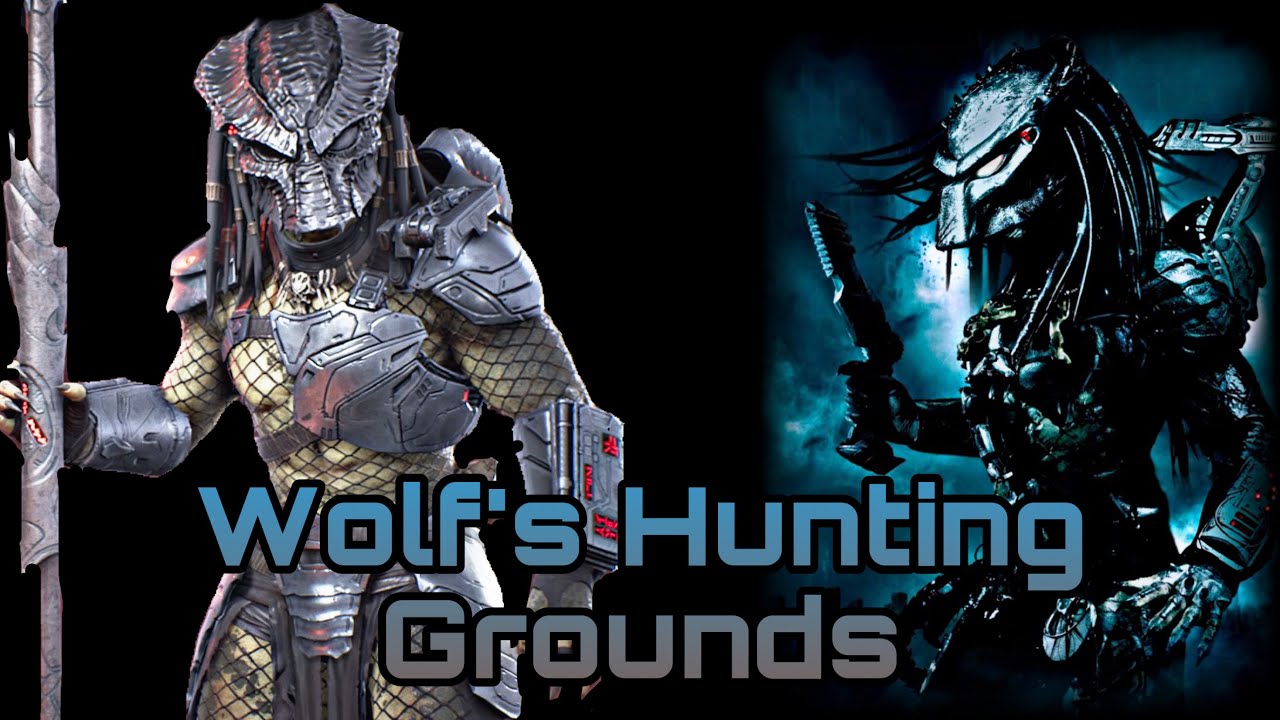Predator Hunting Grounds: AVP:R Wolf Build 🐺 - YouTube