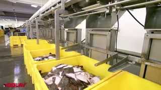More payload, less weight and cost with Dolav Ace