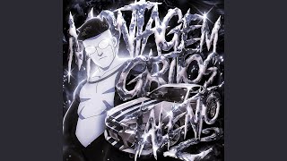 MONTAGEM GRITOS TALENTO 2 (Slowed) - prodbydxm, DJ FallThox, DJ Raulipues
