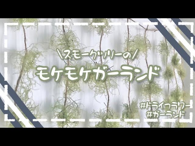 モケモケ】【ガーランド】スモークツリーのモケモケガーランド - YouTube
