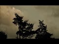 SIGMA fp Impression | Mikio HASUI