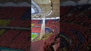 Fcsb-Cfr coregrafie tot stadionul