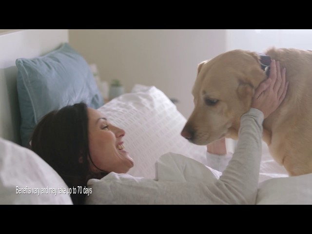 Equinox produces the new TVC for VetPlus Synoquin