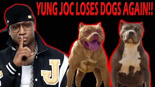 Actor / Rapper Yung Joc EXPOSED;  he loses 2 huge  Pitbulls/ XL American Bully's AGAIN!!! WTF!