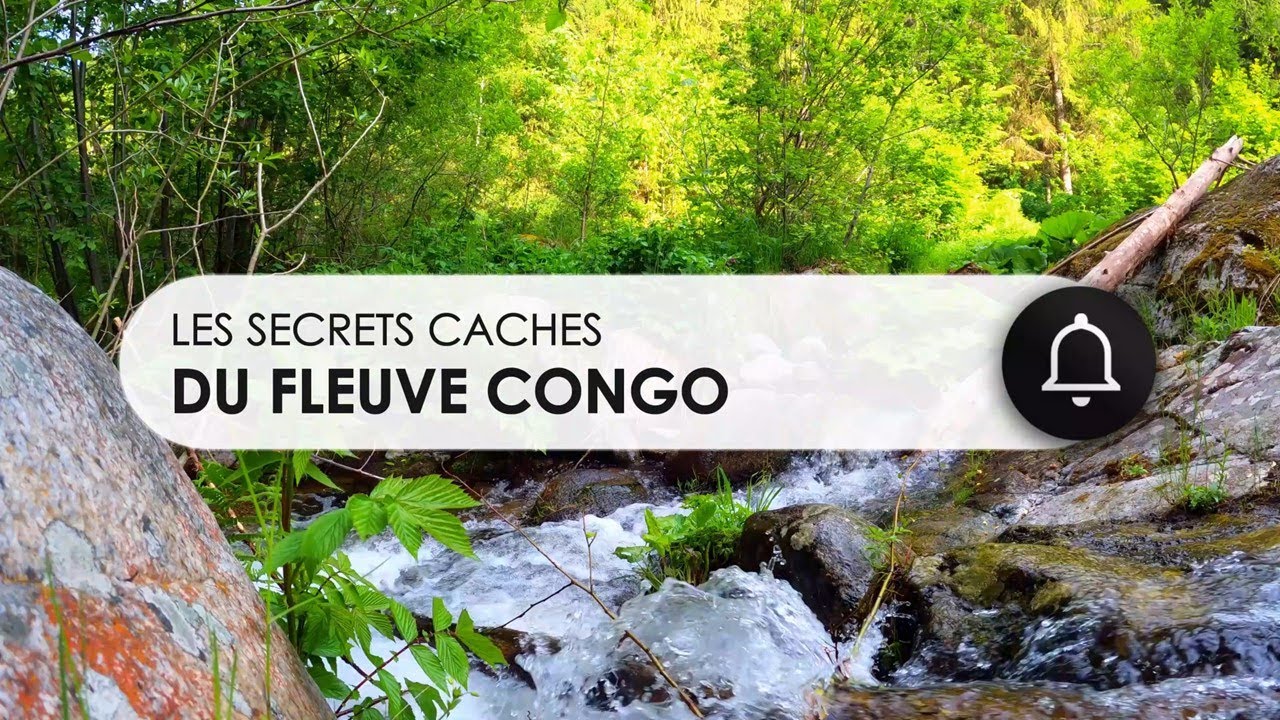 LES SECRETS CACHES DU FLEUVE CONGO (RDC): #nature #aventure [ENGLISH ...