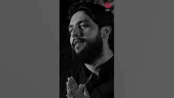 تنادي كربلاء أين القواسم سفر المآتم الرادود حسين خيرالدين سماوات 