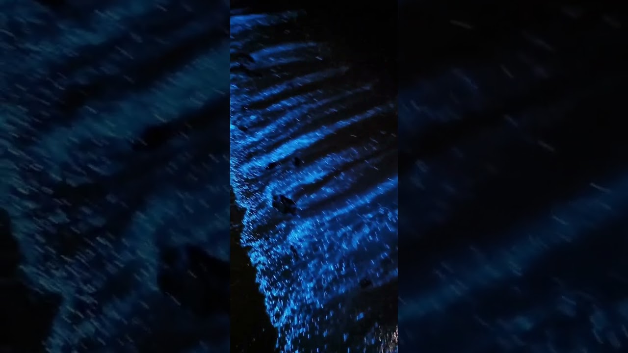 Glowing Beach - Sea of Stars