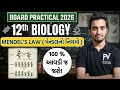 BIOLOGY PRACTICAL BOARD 2026 | MENDEL'S LAW / મેન્ડલના નિયમો | ENG/GUJ MED. 🔥 100% આવડી જશે ✅