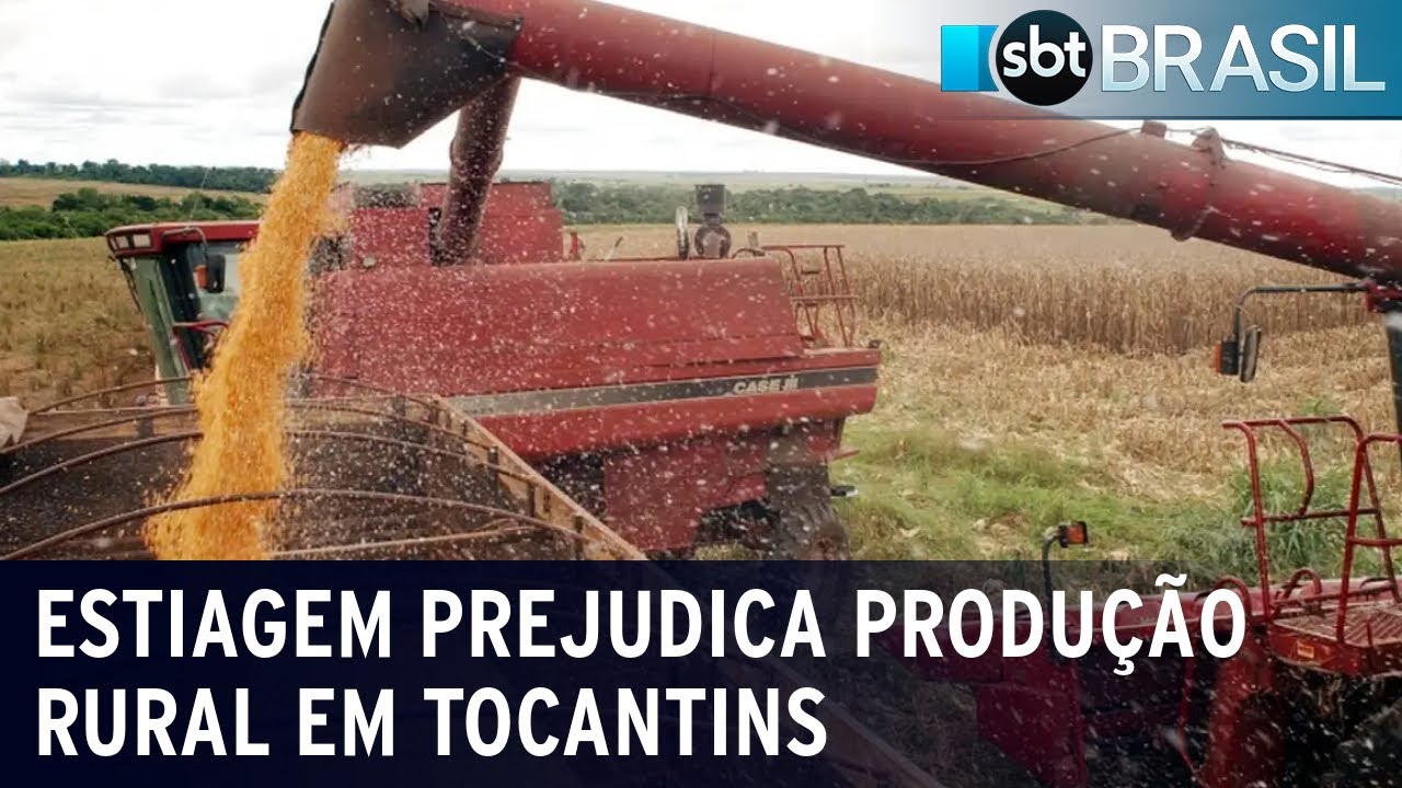 Estiagem prejudica produção rural em Tocantins | SBT Brasil (13/01/24)
