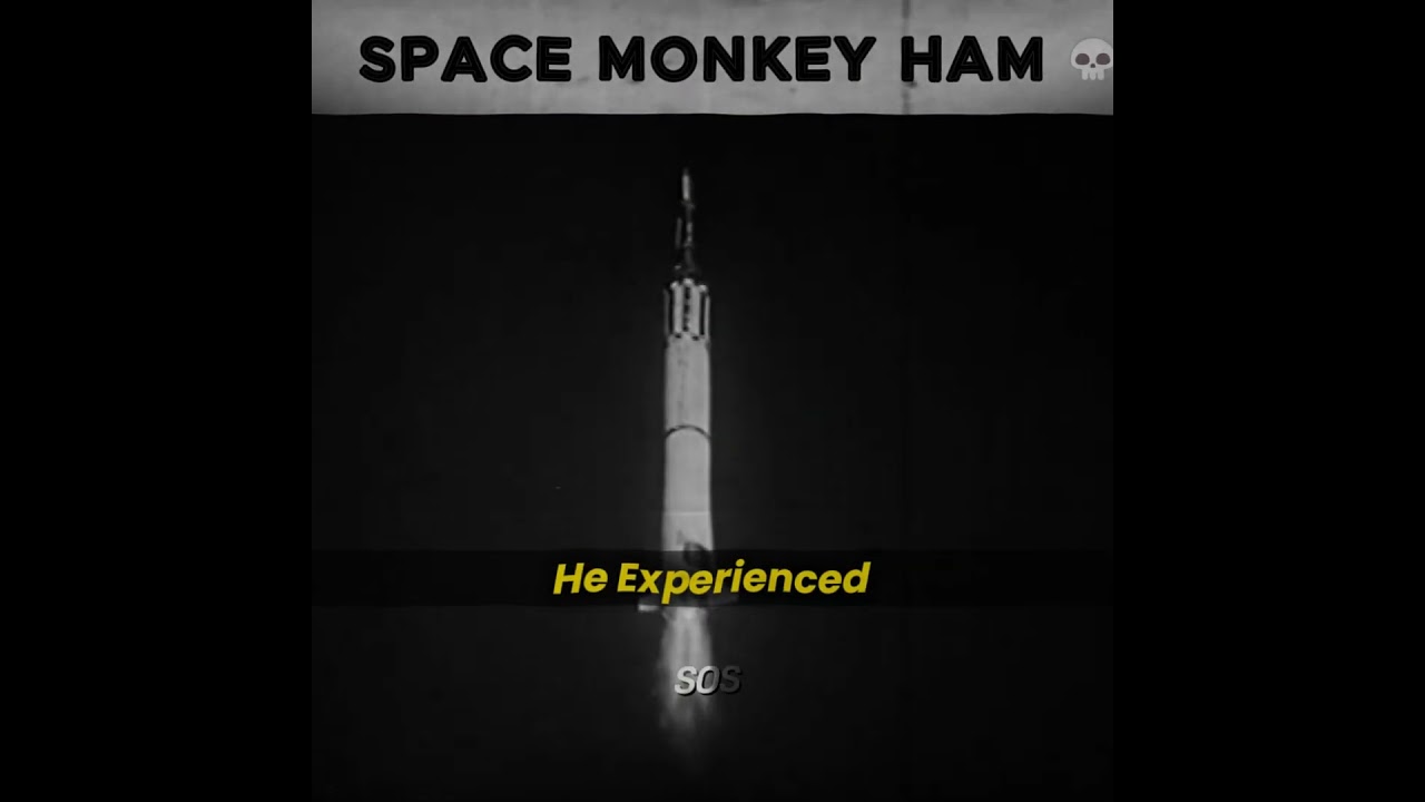 SPACE MONKEY HAM 😟🐵 #space #universe #science #astronomy #blackhole