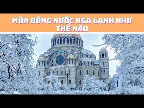 Video: Mùa hè năm 2020 ở Nga ở Moscow sẽ như thế nào