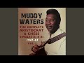 Miniature de la vidéo de la chanson Muddy Waters Twist