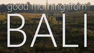 ASMR Chill out with me in Bali ~ Relaxing sunrise ambience! ✌(4K) screenshot 1