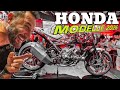 Neue Honda Modelle 2026 EICMA