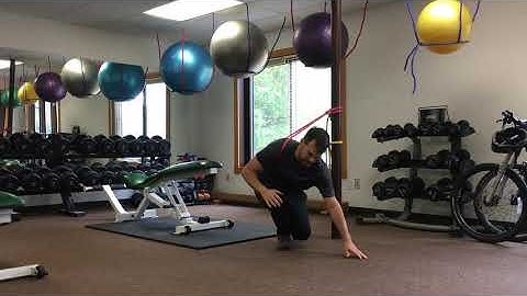 Thoracic Rotation Banded Mobilization in Quadruped