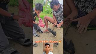 പുതിയ മീൻ പിടുത്തം #mallutraveler​ #fishingfreaks​ #shortsx​ #mallu​ #malayalam​ #m4tech​