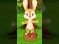 Zingo was his Name | PurpleTurtle Nursery Rhymes & Kids Songs