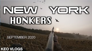 Hunting September Geese 2020