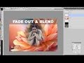 Fade Out and Blend Images in Photoshop