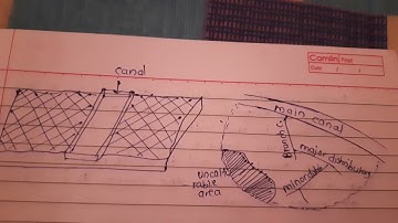 Irrigation 5)- CA, GCA, CCA, Intesity irrigation.