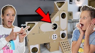 5 STORY BOX FORT HOUSE FOR OUR CAT