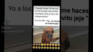 VID 20240124 WA00001