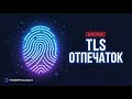 TLS Fingerprint: почему прокси не спасает от детекции | JA3 и JA4